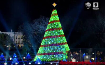 The Biggest Christmas-Themed Content on Social