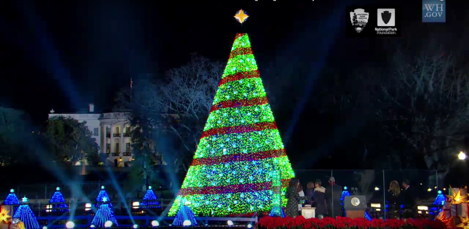 Image of the Christmas tree at the White House in 2014