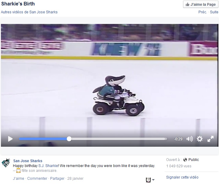 san jose sharks sharkie's birth