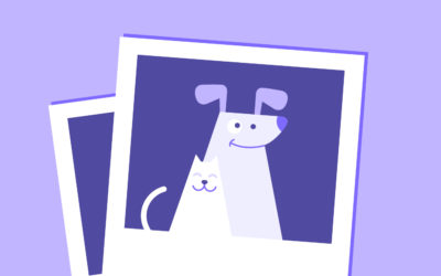 How Pets Create Winning Content for Brands on Instagram