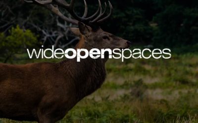 The life of a niche publisher: Q&A with Wide Open Spaces