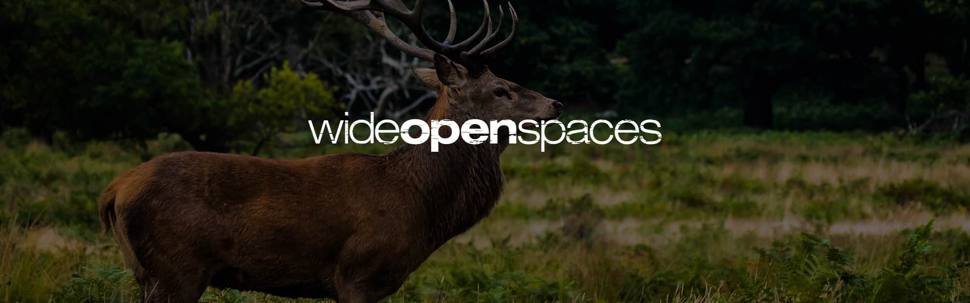 wide open spaces social media monitoring