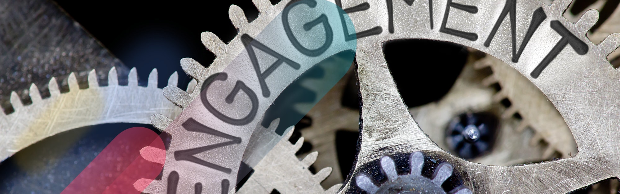 brands engaged audiences instagram