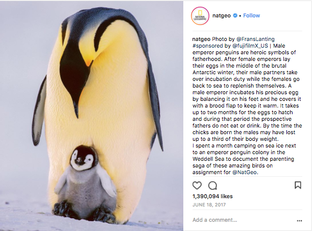 National Geographic Fathers Day