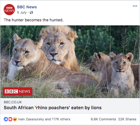 rhino poachers eaten by lions bbc