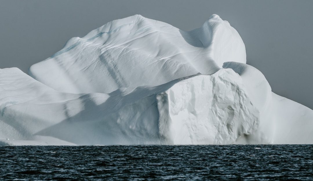 The Deep Web: A field guide