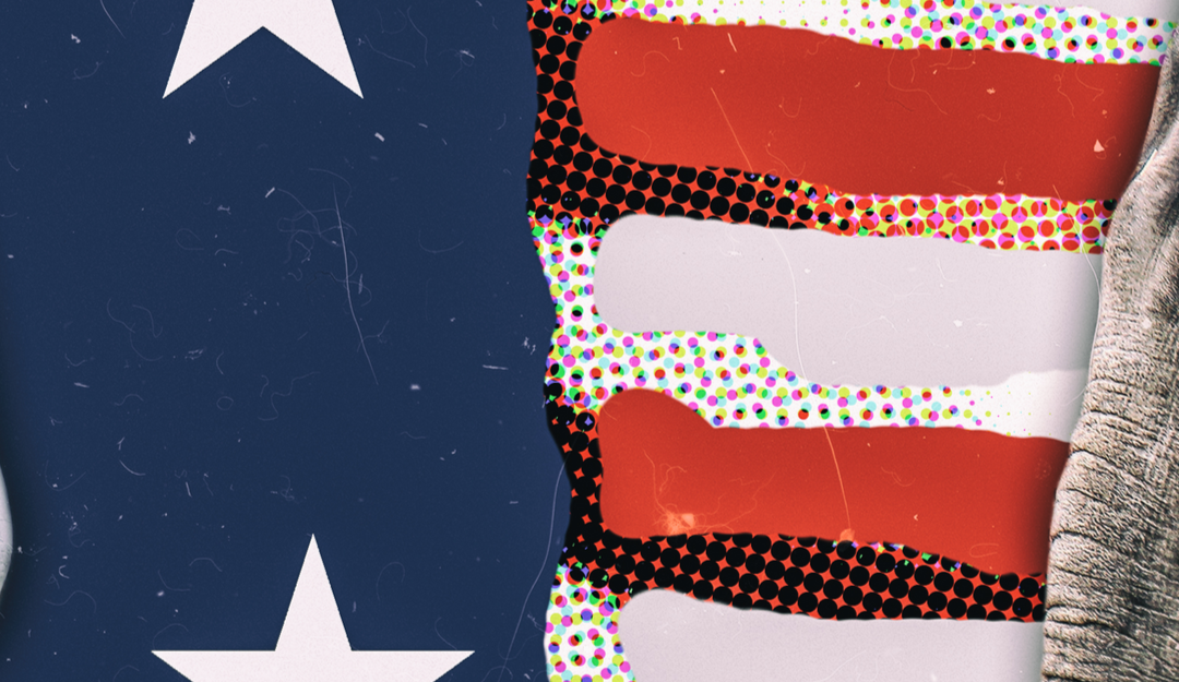 The influence of politics on social: top sites, trends, & fake news