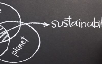 Sustainability & Success: The new role of business in today’s environmental debate