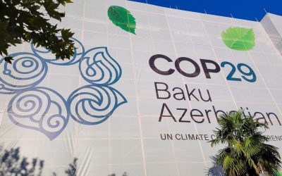COP29: Social media’s role in shaping climate conversations in 2024